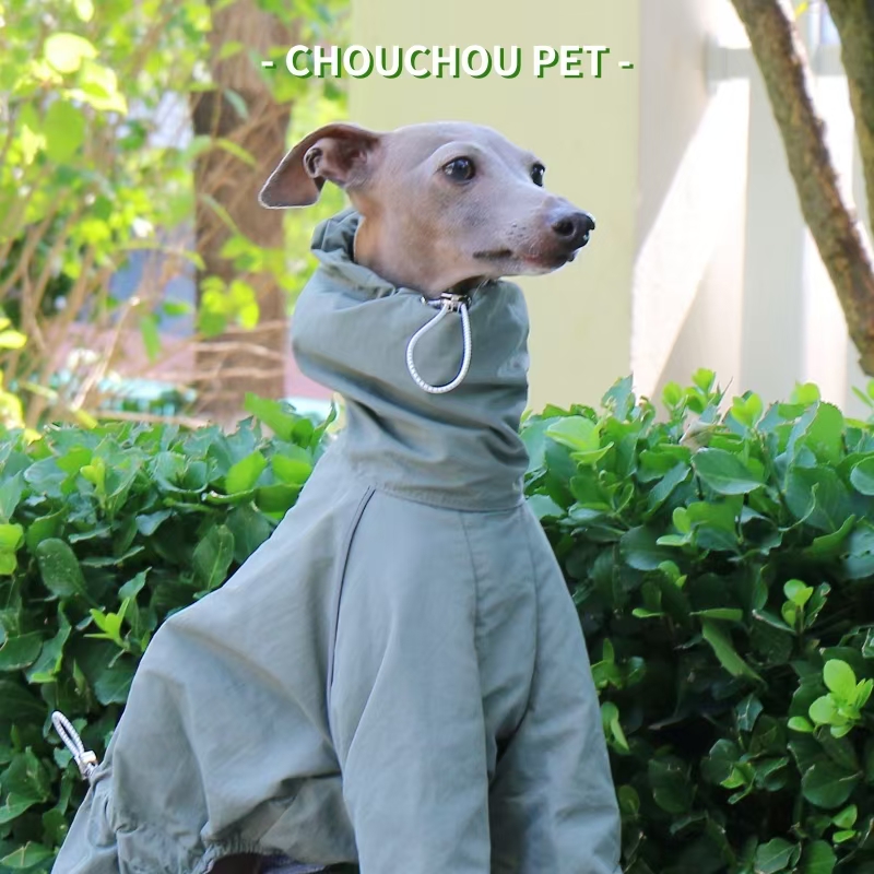Winter Clothing For Dogs - معطف واق من المطر السلوقي الإيطالي
