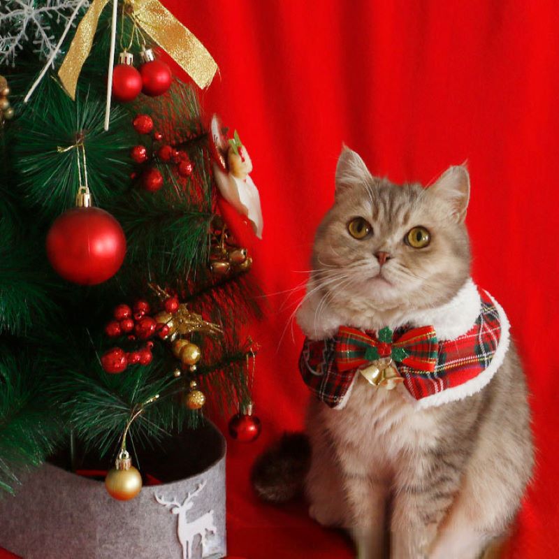 Winter Clothing For Dogs - القط عيد الميلاد عباءة الحيوانات الأليفة