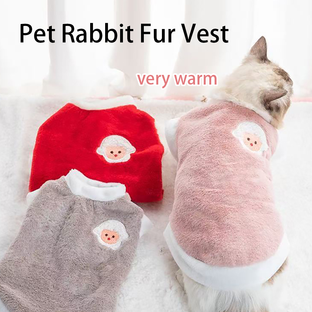 Winter Clothing For Dogs - ملابس الحيوانات الأليفة لفصل الخريف والشتاء