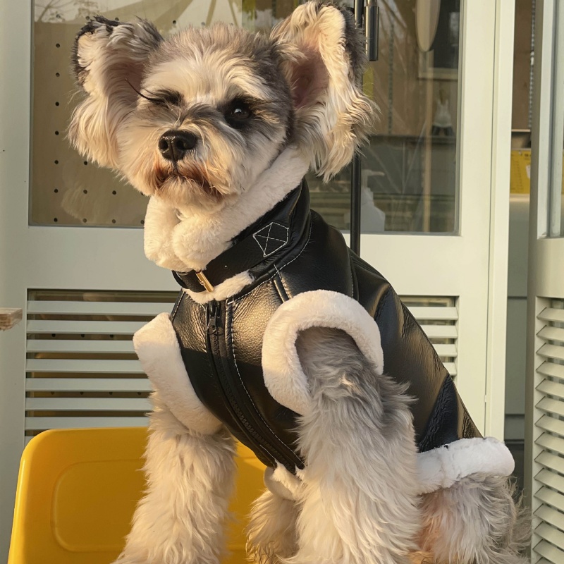 Winter Clothing For Dogs - الحيوانات الأليفة الخريف الشتاء المخملية سترة