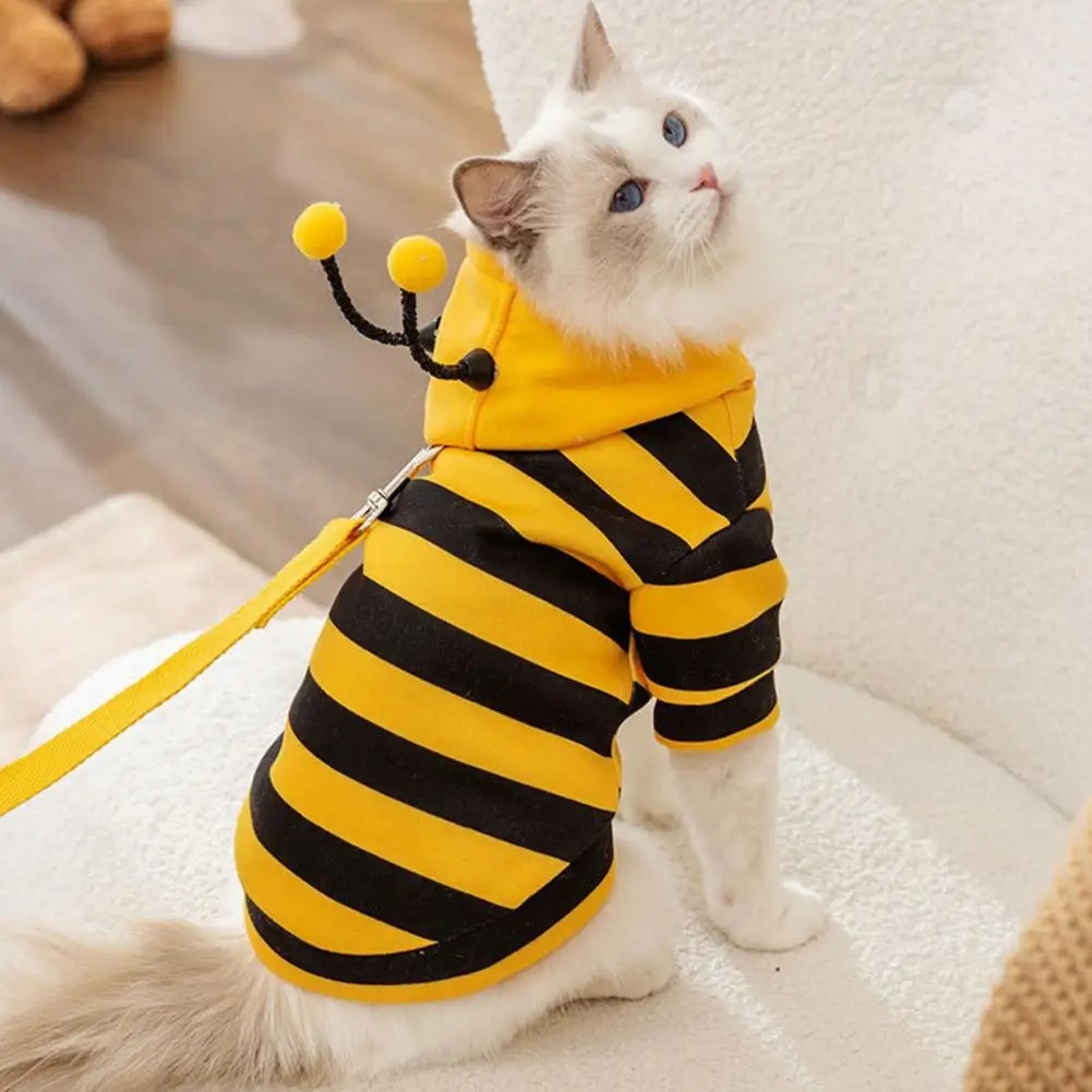 الحيوانات الأليفة القطط الملاب - مراجعة Winter Clothing For Dogs وسعره