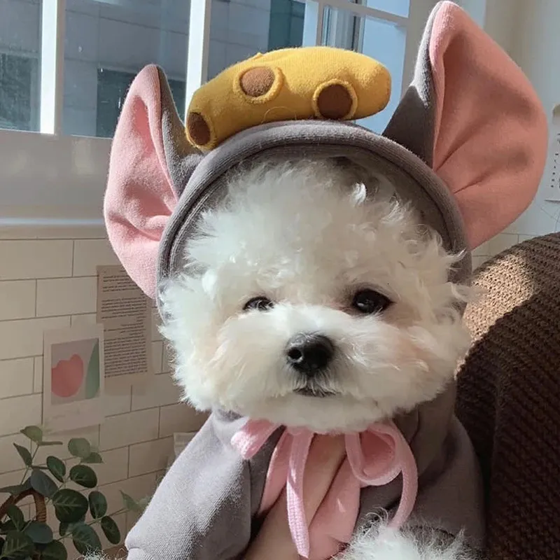 الخريف الشتاء الحيوانات الأليف - مراجعة Winter Clothing For Dogs وسعره