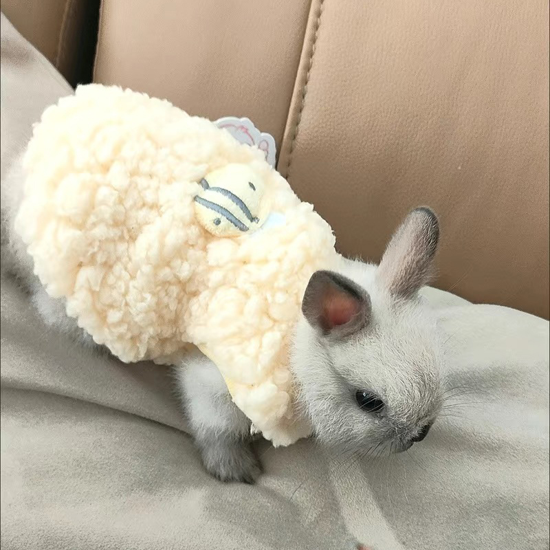 سترة دافئة للحيوانات الصغيرة ف - مراجعة Winter Clothing Newborn وسعره