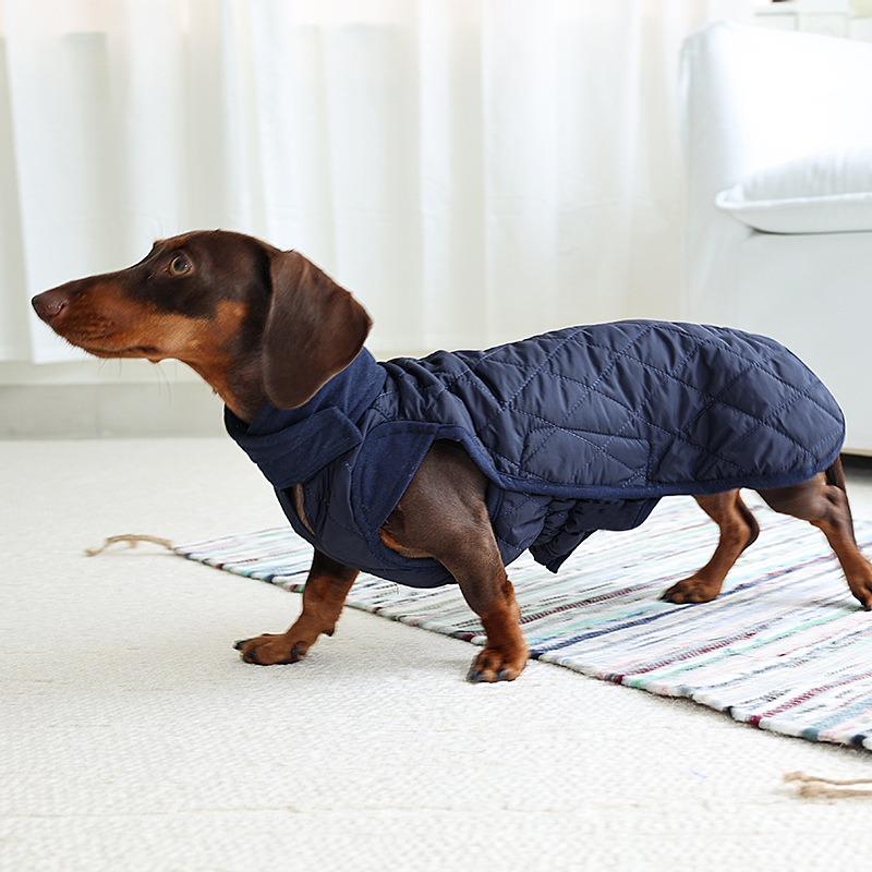 معطف شتوي دافئ مقاوم للماء من  - مراجعة Winter Clothing For Dogs وسعره