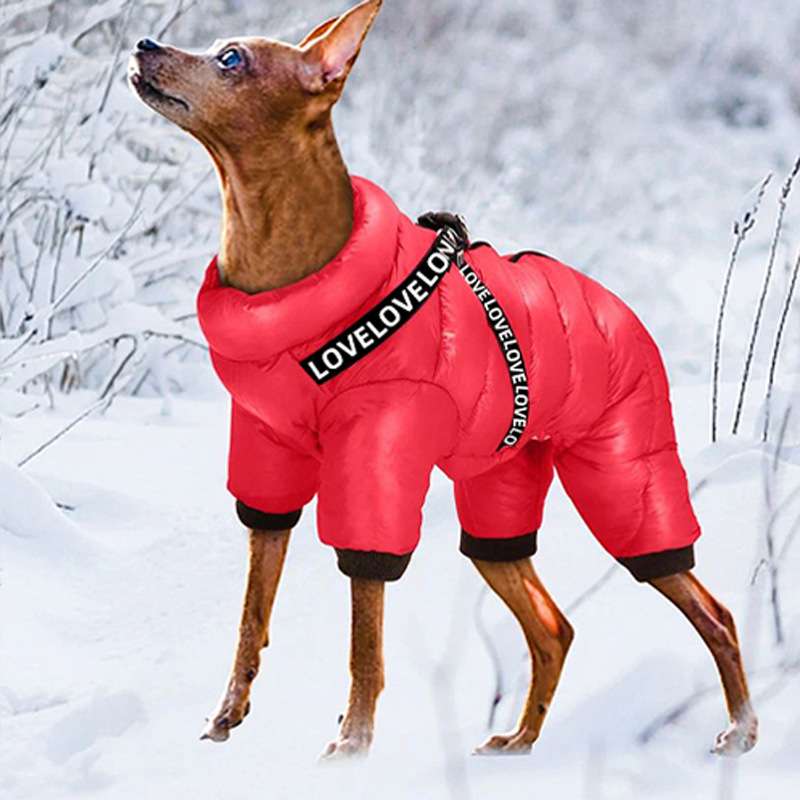 ملابس للكلاب، سترة شتوية دافئة - مراجعة Winter Clothing For Dogs وسعره
