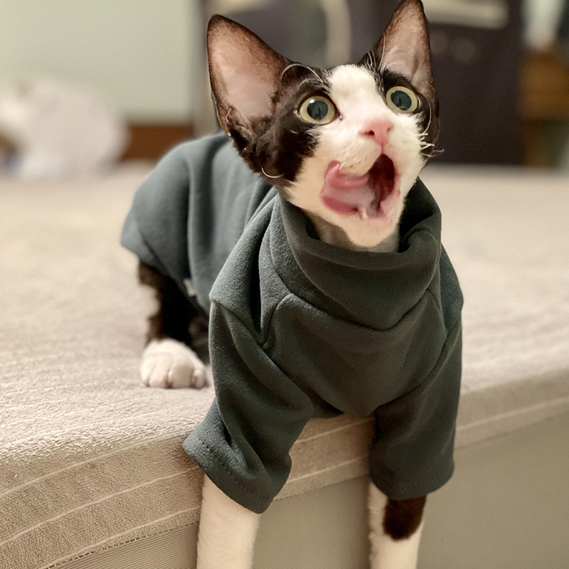 ملابس Sphynx للقطط للأطفال من  - مراجعة Winter Clothing For Toddlers وسعره