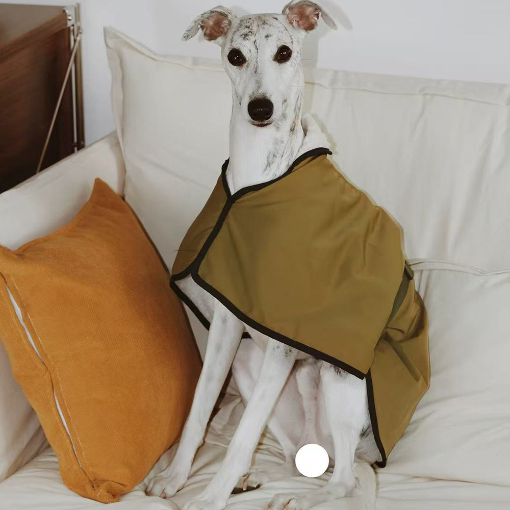 سترة شتوية مقاومة للرياح من صو - مراجعة Winter Clothing For Dogs وسعره