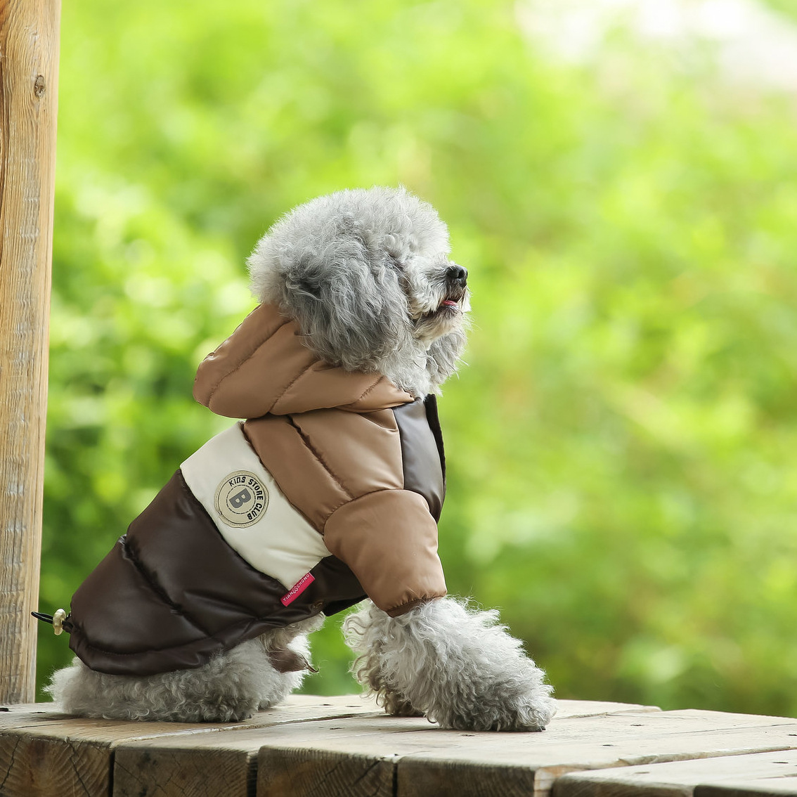 ملابس للكلاب، سترة شتوية سميكة - مراجعة Winter Clothing For Dogs وسعره