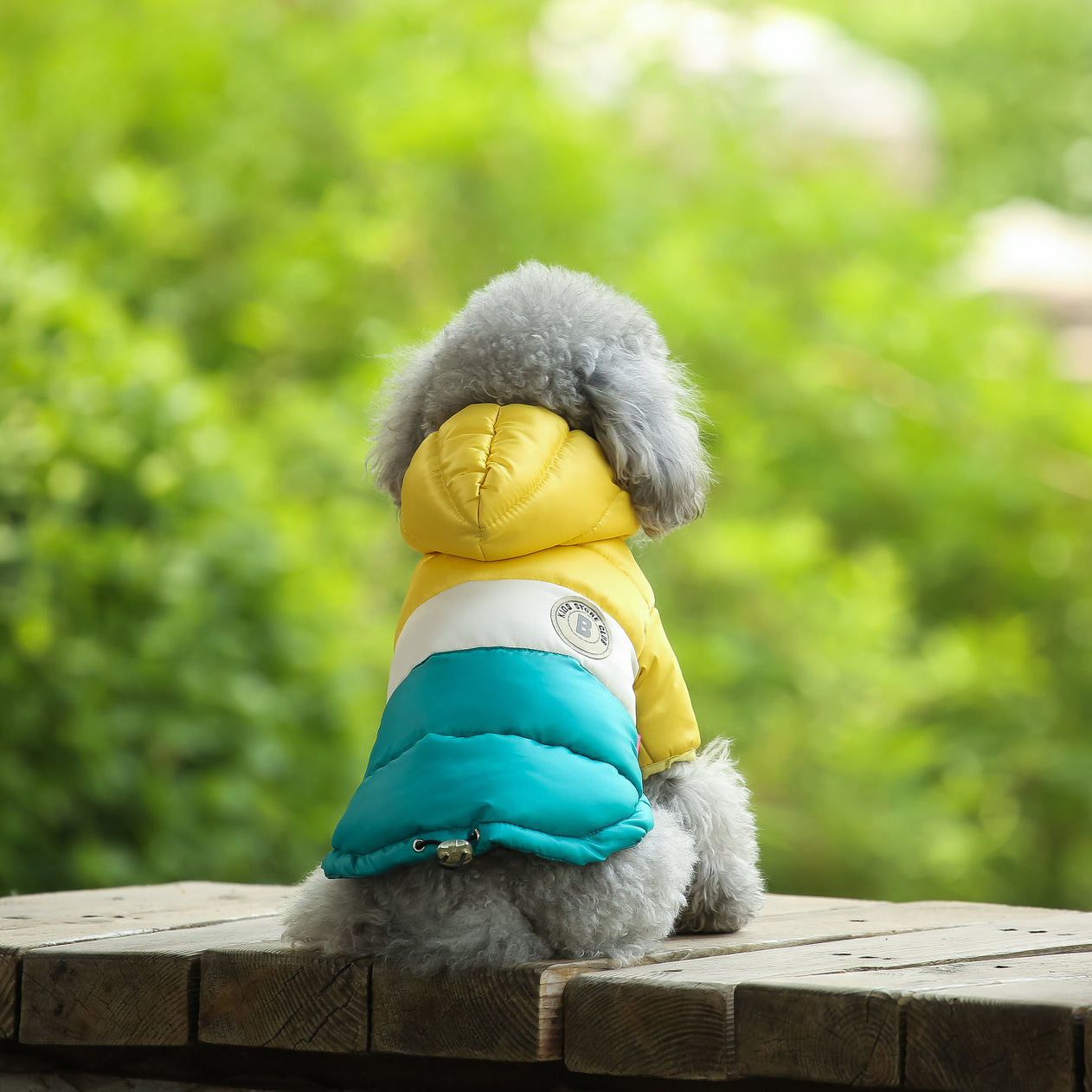 ملابس للكلاب، سترة شتوية سميكة - مراجعة Winter Clothing For Dogs وسعره