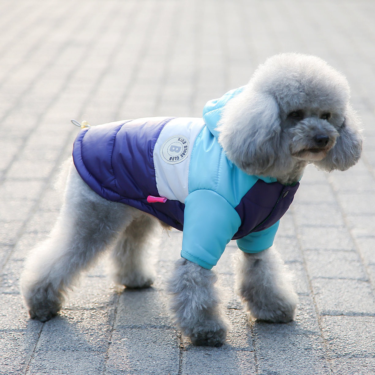 ملابس للكلاب، سترة شتوية سميكة - مراجعة Winter Clothing For Dogs وسعره
