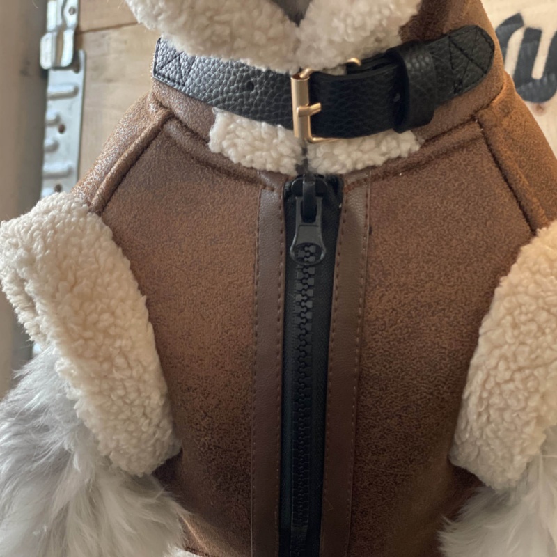 الحيوانات الأليفة الخريف الشتا - مراجعة Winter Clothing For Dogs وسعره