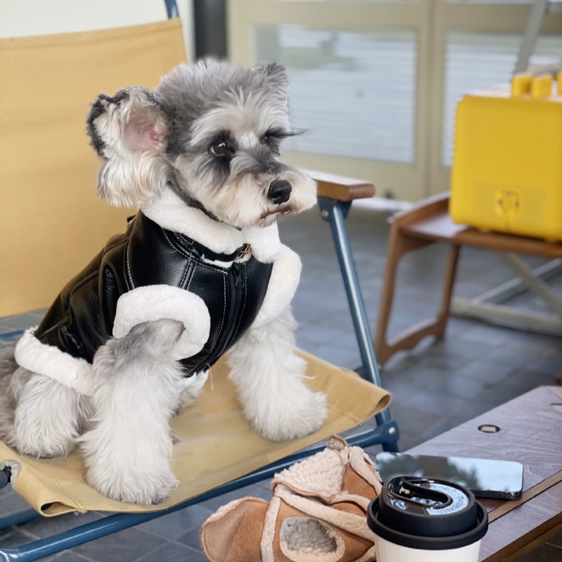 الحيوانات الأليفة الخريف الشتا - مراجعة Winter Clothing For Dogs وسعره